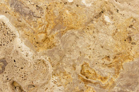 Shell stone texture closeup. Coquina. Beige seashell.の写真素材