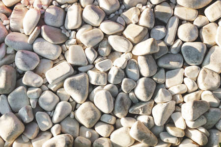Decorative white pebbles for decorating flower beds in the Park or in the yard.の写真素材