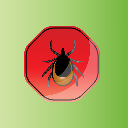 vector image of a tick - a warning about the risk of Contracting a tick-borne encephalitisのイラスト素材
