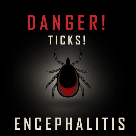 vector image of a tick drunk the blood - tick stop signのイラスト素材