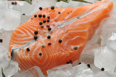 salmon steak on ice cubes with rosemary and lemon. top viewの写真素材