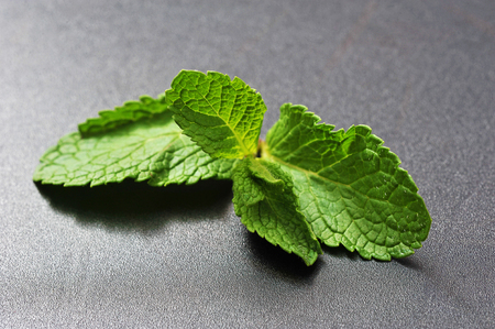 mint leaf on black backgroundの写真素材