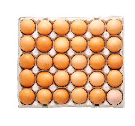 Farm egg in paper container. Isolated on white background. Top view