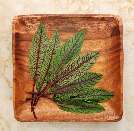 leaves of sorrel on wooden background. top viewの写真素材