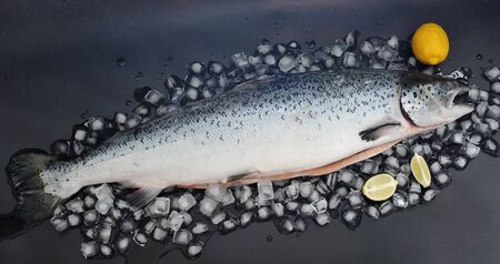 raw salmon whole gutted on ice with lime and lemon