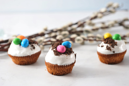 Easter cupcakes with chocolate chip for the background of willow twigs