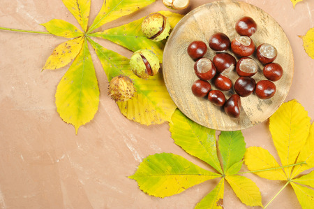 chestnuts with maple autumn leaves - horse chestnut - top viewの写真素材