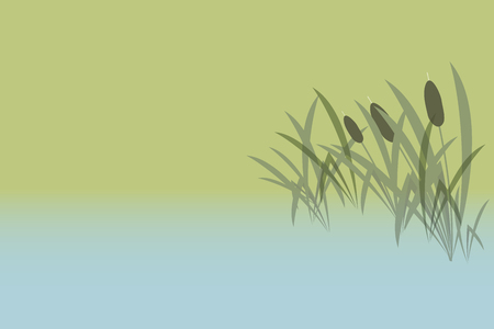 neutral background - the lake and the reeds - vector illustrationのイラスト素材