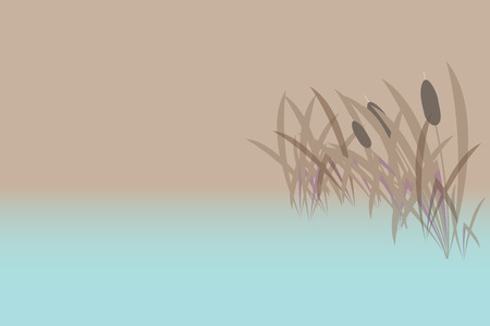 neutral background - the lake and the reedsの写真素材