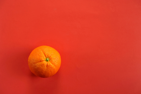 fruit orange on red background with space for text top viewの写真素材