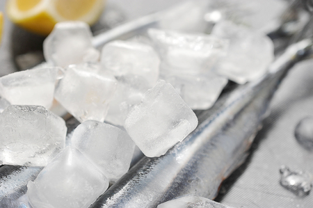 ice cubes and frozen fish-close-upの写真素材