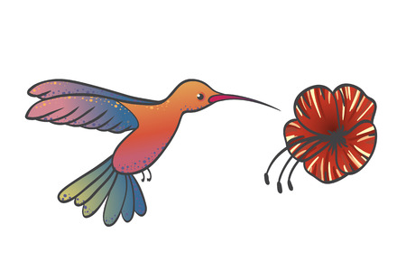 Hummingbird flies and collects nectar from a red hibiscus flower in cartoon style - isolated vector illustration on a white backgroundのイラスト素材