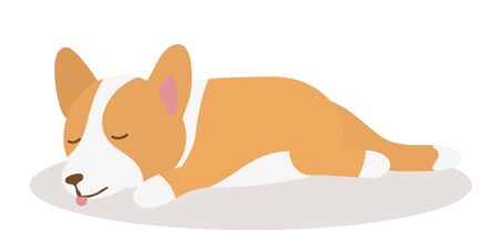 Welsh Corgi dog sleeping on a Mat - cartoon style illustrationのイラスト素材