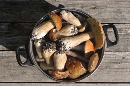 porcini mushrooms in a pot on a gray wooden background - top view
