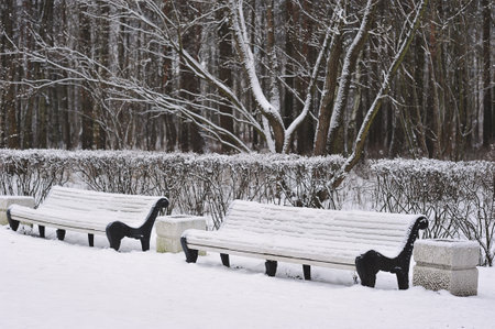 snow-covered benches in a winter parkの写真素材