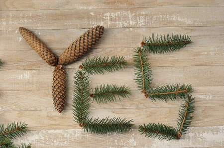 word yes from the cones and branches of the Christmas treeの写真素材