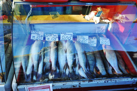 BRONNITSY, Russia - OCTOBER 9, 2021: a showcase of a fish stall on the market in Bronnitsyのeditorial素材