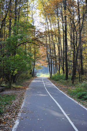 the path in the autumn park - autumn landscape