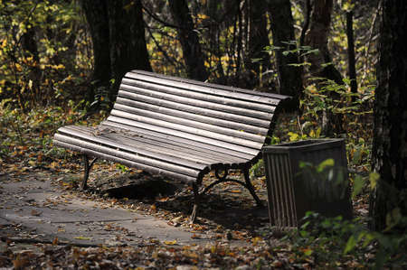 wooden bench in the park - autumn landscapeの写真素材
