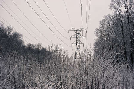 snow-covered trees and a power line nearby - in snow and frostの写真素材
