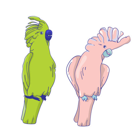 Cockatoo parrot hand drawing illustration cartoon clipart style. Colorful parrot kakadu logoのイラスト素材