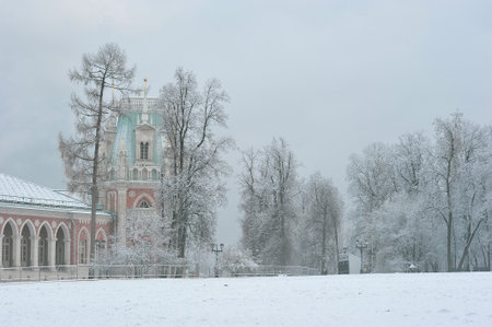 Moscow, Russia - November 23, 2025: Tlandscape in Tsaritsyno Park in Moscowのeditorial素材
