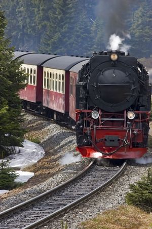 Steam engine on its way through coniferous woodland