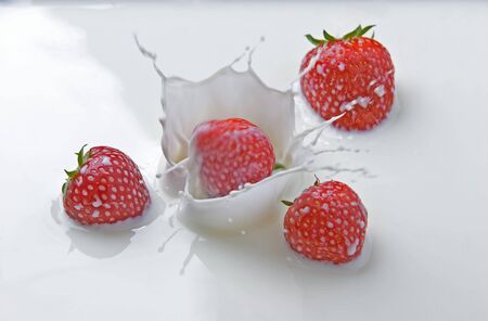 Fresh strawberries splashing in milkの写真素材