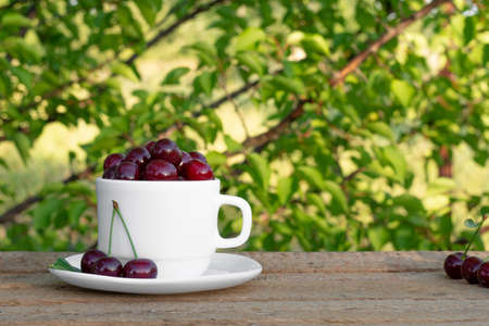 A white cup of cherries stands on a white background. Copy space.の写真素材