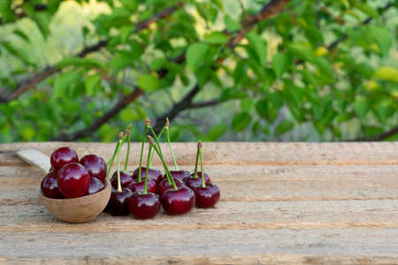 A wooden spoon with an orchard. Copy space.の写真素材