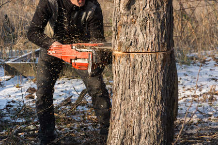 Chainsaw wood saw cutの写真素材