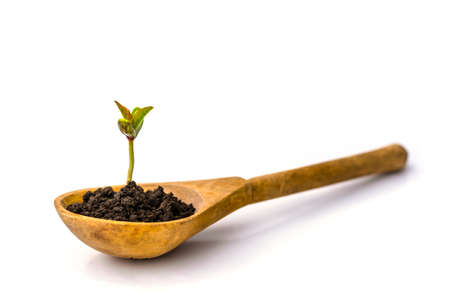 A green background with a creative idea. Place for text, isolate. Copy space.の写真素材