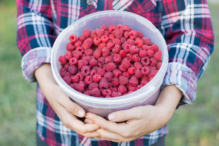 A girl is holding a bottle of fresh raspberries. Summer food, vitamins. Summer background.