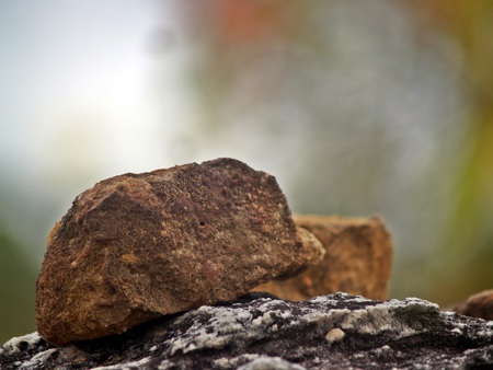wildflowers Cliffs The parkの写真素材