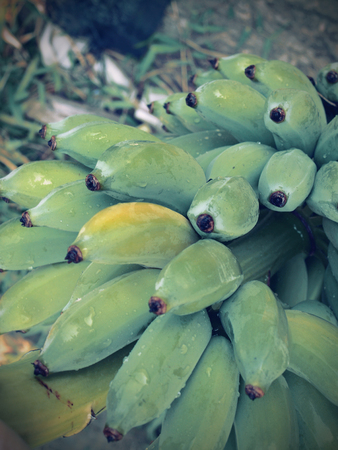 banana    の写真素材