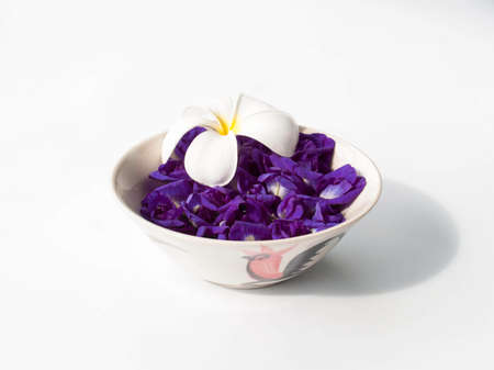 Flowers in Cupの写真素材