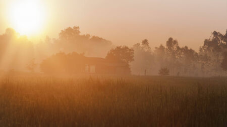 Fields Sunriseの写真素材