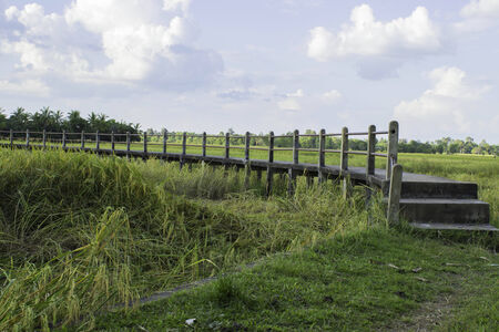 Bridge fieldsの写真素材