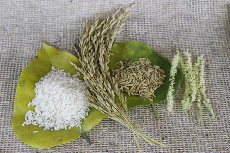 Thailand rice