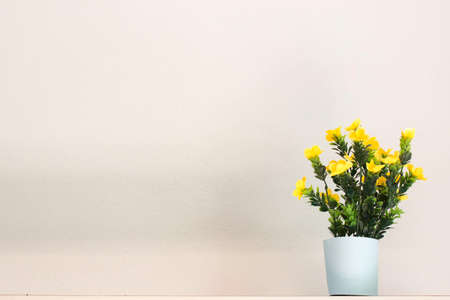 Yellow flowers background home.の写真素材