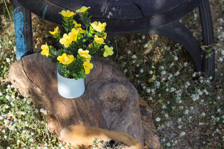 Yellow flowers background home.の写真素材