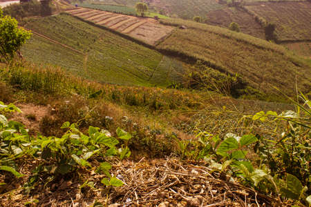 Phetchabun,THAILAND Jan 26 :Mountain villages Of Phu Tabberk Phetchabun Thailand.のeditorial素材