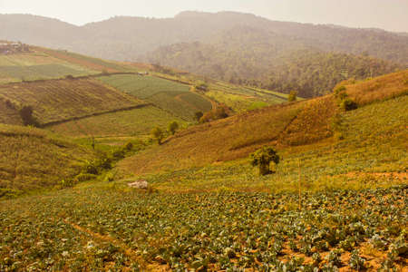 Phetchabun,THAILAND Jan 26 :Mountain villages Of Phu Tabberk Phetchabun Thailand.のeditorial素材