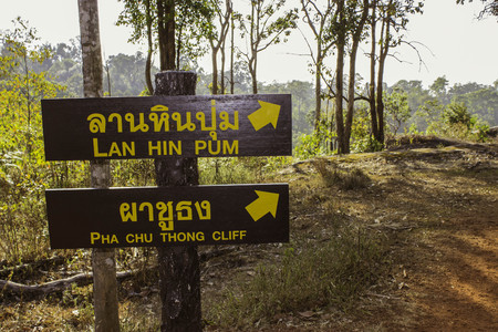 Phuhinrongkla National Park,THAILAND Jan 26 2015:\"The beauty of natural stone forest views\"Phuhinrongkla National Park,Thailand.のeditorial素材