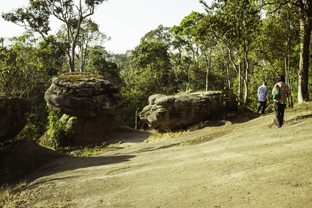 Phuhinrongkla National Park,THAILAND Jan 26 2015:\"The beauty of natural stone forest views\"Phuhinrongkla National Park,Thailand.のeditorial素材