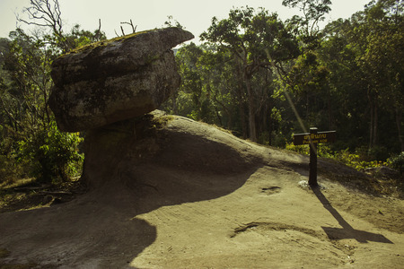 Phuhinrongkla National Park,THAILAND Jan 26 2015:\"The beauty of natural stone forest views\"Phuhinrongkla National Park,Thailand.のeditorial素材