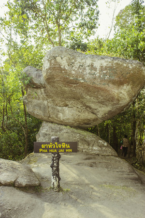 Phuhinrongkla National Park,THAILAND Jan 26 2015:\"The beauty of natural stone forest views\"Phuhinrongkla National Park,Thailand.のeditorial素材