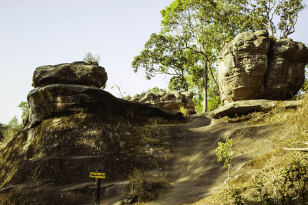 Phuhinrongkla National Park,THAILAND Jan 26 2015:\"The beauty of natural stone forest views\"Phuhinrongkla National Park,Thailand.のeditorial素材
