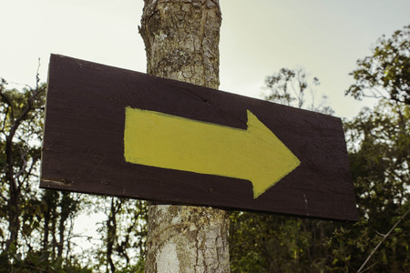 Phuhinrongkla National Park,THAILAND Jan 26 2015:\"The beauty of natural stone forest views\"Phuhinrongkla National Park,Thailand.のeditorial素材