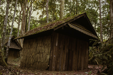 Phuhinrongkla National Park,THAILAND Jan 26 2015:\\\"The beauty of natural stone forest views\\\"Phuhinrongkla National Park,Thailand.のeditorial素材